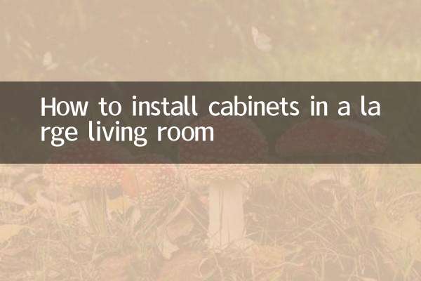 So installieren Sie Schränke in einem großen Wohnzimmer