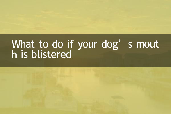 अगर आपके कुत्ते के मुंह में छाले हो जाएं तो क्या करें?