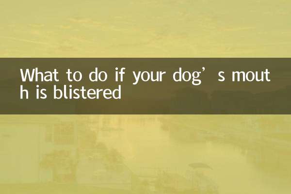अगर आपके कुत्ते के मुंह में छाले हो जाएं तो क्या करें?