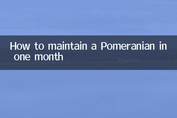 एक महीने में पोमेरेनियन का रखरखाव कैसे करें