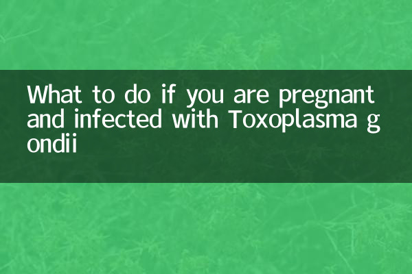 ماذا تفعلين إذا كنت حاملاً ومصابة بالتوكسوبلازما جوندي