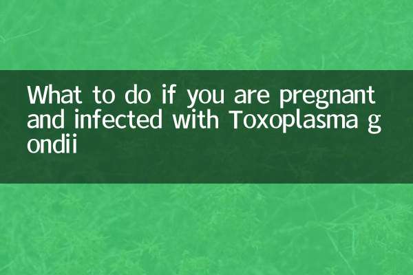 ماذا تفعلين إذا كنت حاملاً ومصابة بالتوكسوبلازما جوندي