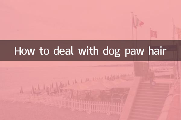Wie man mit Hundepfotenhaaren umgeht