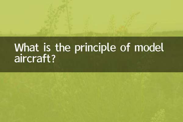 اصل هواپیمای مدل چیست؟