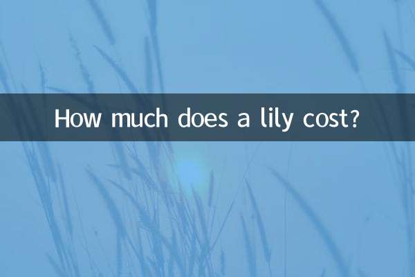 للی کی قیمت کتنی ہے؟