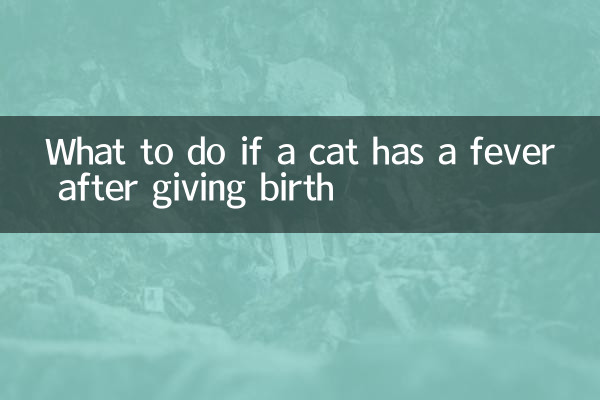 জন্ম দেওয়ার পর বিড়ালের জ্বর হলে কী করবেন