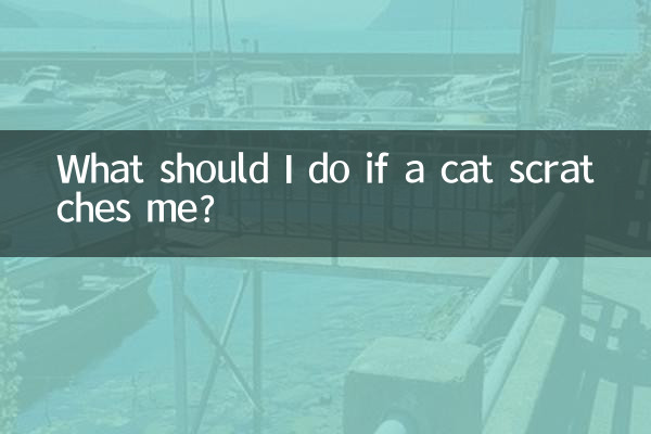 ¿Qué debo hacer si un gato me araña?