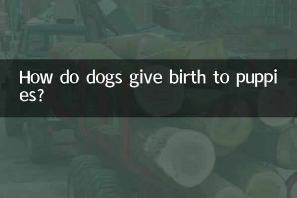 كيف تلد الكلاب الجراء؟