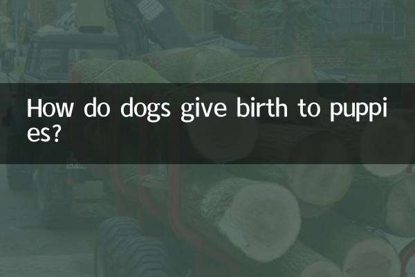 كيف تلد الكلاب الجراء؟