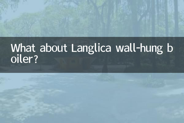 लैंग्लिका वॉल-हंग बॉयलर के बारे में क्या?