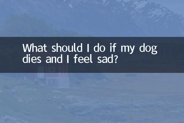 O que devo fazer se meu cachorro morrer e eu ficar triste?