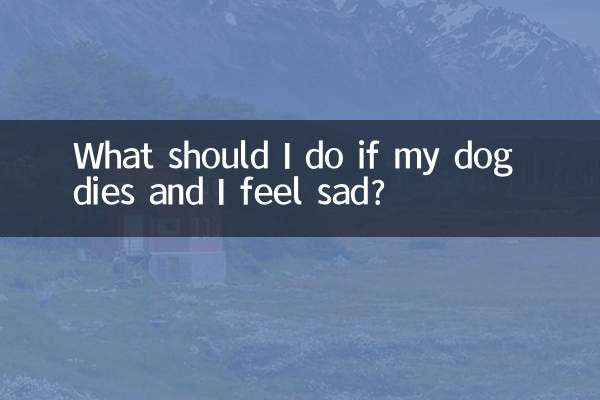 Que dois-je faire si mon chien meurt et que je me sens triste ?