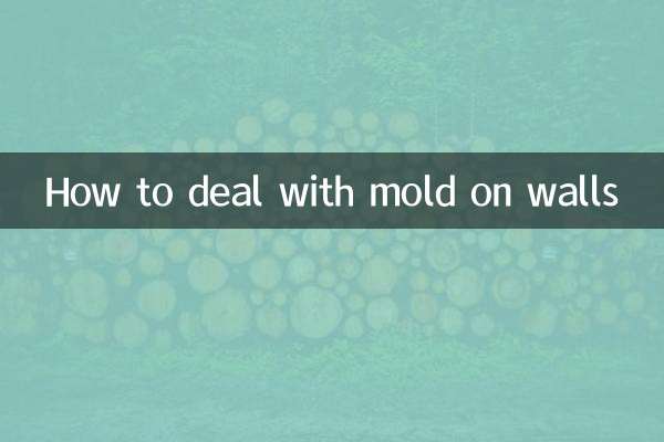 How to deal with mold on walls