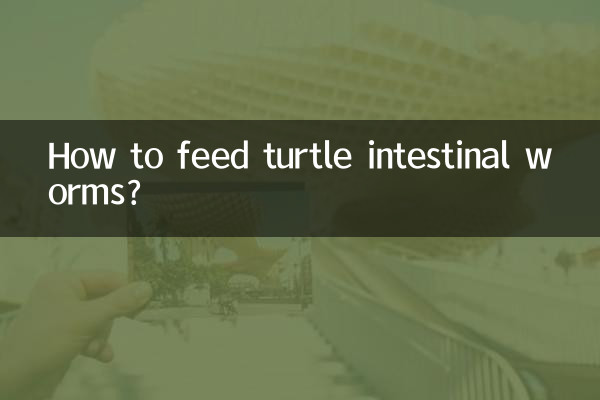 Como alimentar vermes intestinais de tartaruga?