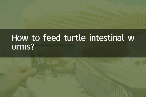 Wie füttert man Schildkröten-Darmwürmer?