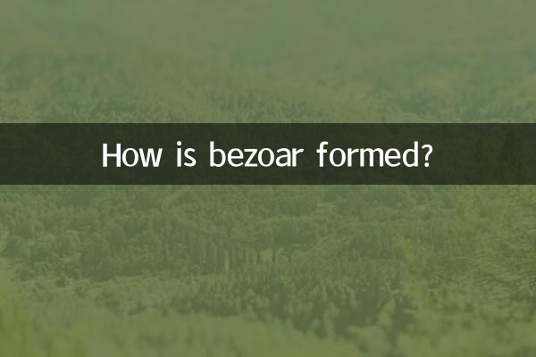 Come si forma il bezoar?