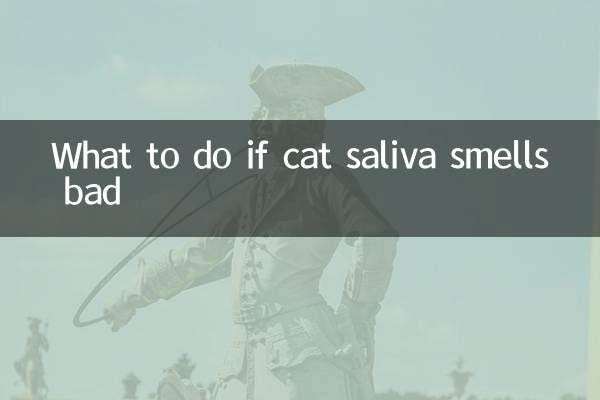 猫の唾液が臭い場合の対処法