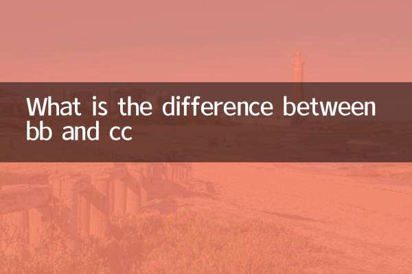 bb와 cc의 차이점은 무엇입니까