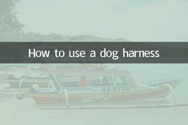개 하네스를 사용하는 방법