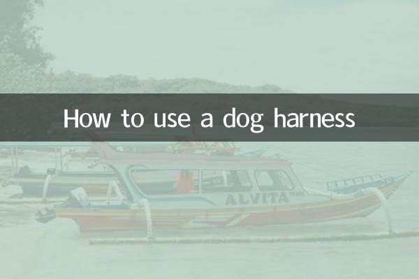 狗胸背帶怎麼用