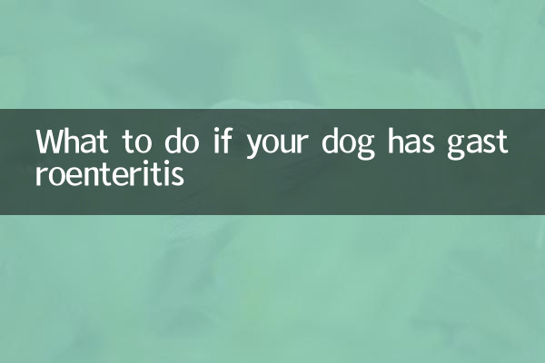 狗有肠胃炎怎么办