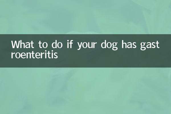 狗有肠胃炎怎么办