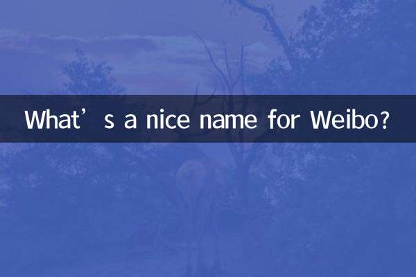 ما هو الاسم الجميل للويبو؟