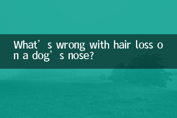 Cosa c'è di sbagliato nella caduta dei peli sul naso di un cane?