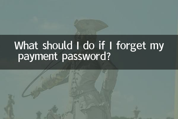 What should I do if I forget my payment password?