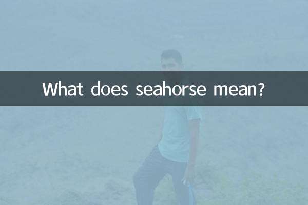 ما هو معنى فرس البحر ؟