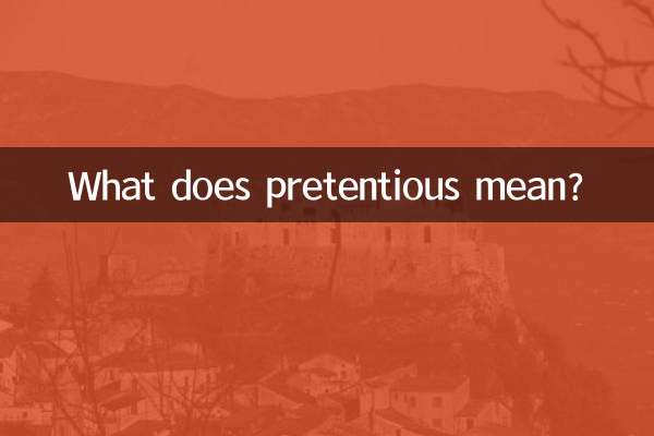 ¿Qué significa pretencioso?