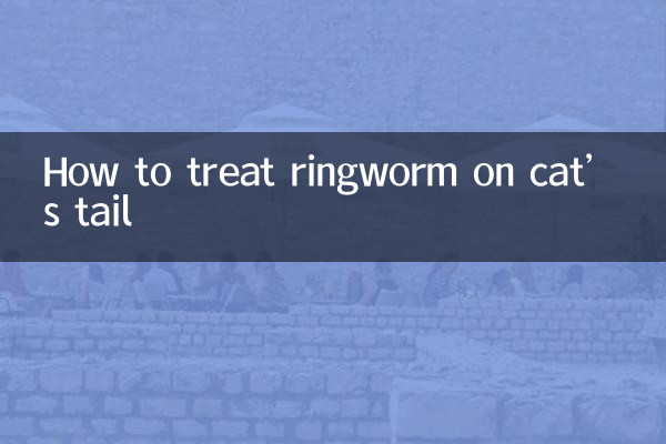 Wie man Ringelflechte am Schwanz einer Katze behandelt