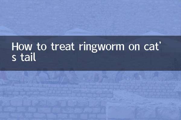 بلی کی دم پر رنگ کیڑے کا علاج کیسے کریں