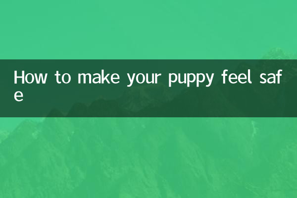 怎麼讓小狗有安全感