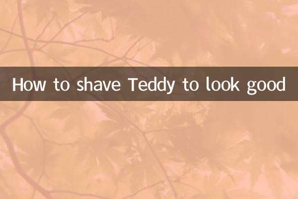 Wie man Teddy rasiert, damit er gut aussieht