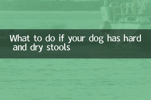 Que faire si votre chien a des selles dures et sèches
