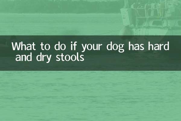 O que fazer se o seu cão tiver fezes duras e secas
