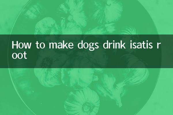 Wie man Hunde dazu bringt, Isatiswurzel zu trinken