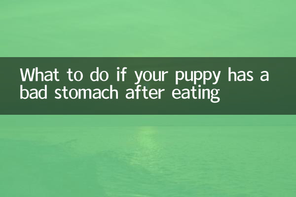 小狗吃壞肚子怎麼辦