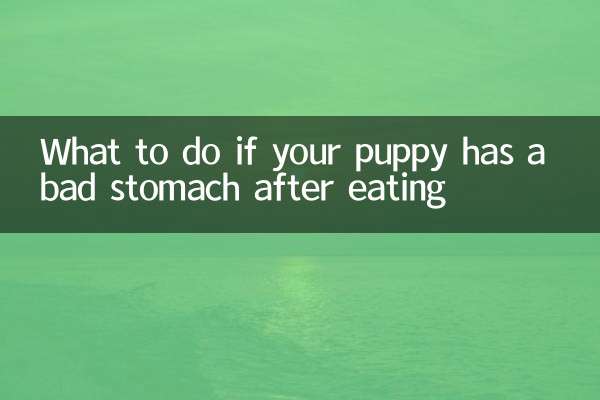 小狗吃壞肚子怎麼辦