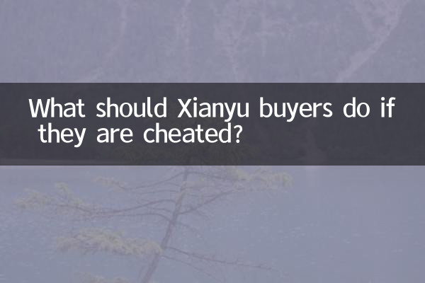¿Qué deberían hacer los compradores de Xianyu si son engañados?