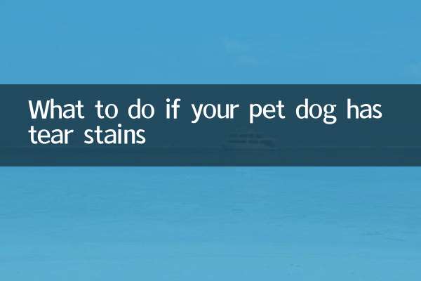 What to do if your pet dog has tear stains