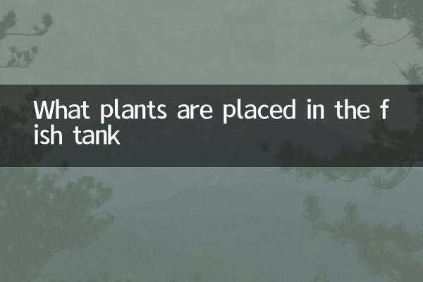 Que plantas são colocadas no tanque de peixes