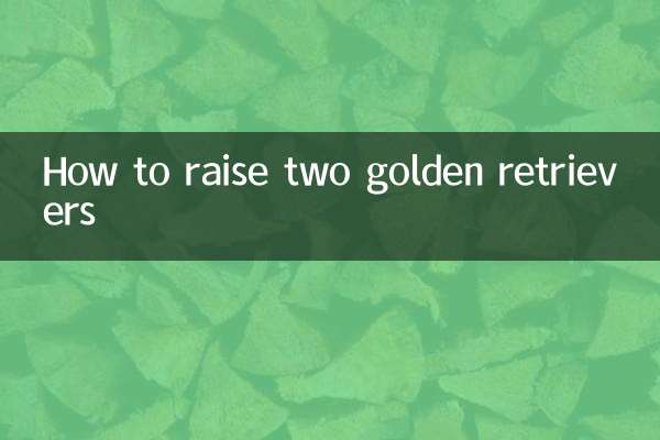 How to raise two golden retrievers