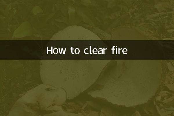 Cómo apagar el fuego