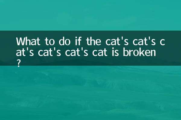 اگر گربه گربه گربه گربه گربه گربه گربه گربه شکسته است چه باید کرد؟