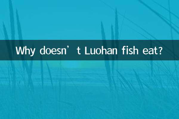 罗汉鱼怎么不吃食