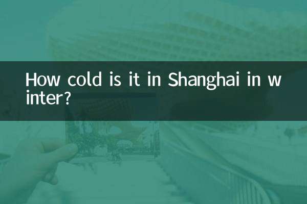 ما مدى برودة الجو في شنغهاي في الشتاء؟