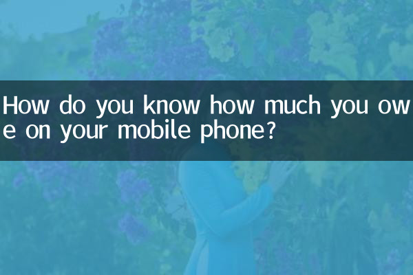 How do you know how much you owe on your mobile phone?