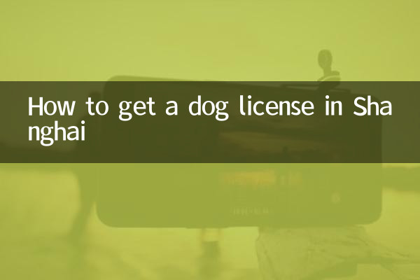 狗証怎麼辦上海